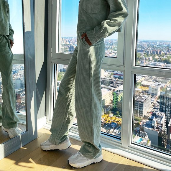 Aritzia Tna Sunview Pant Corduroy pant - Picture 9 of 9